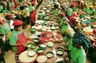 Côte dÂ’Ivoire : Non-respect du prix bord champ de lÂ’anacarde dans certaines localités 